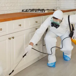 خدمة رش المبيدات في المنازل بالرياض